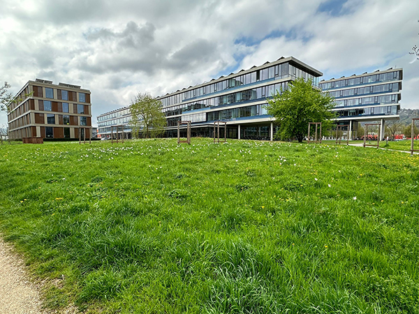 Die drei mehrstöckigen Gebäudekomplexe des Landratsamtes in Tübingen, im Vordergrund eine grüne Wiese.