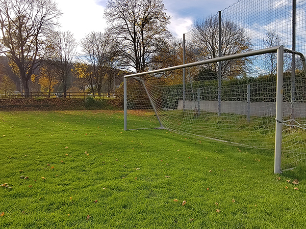 Ein leeres Fuballtor auf einem grünen Rasenplatz in Tübingen-Derendingen. Im Hintergund eine Baumreihe entlang des Flusses Steinlach.