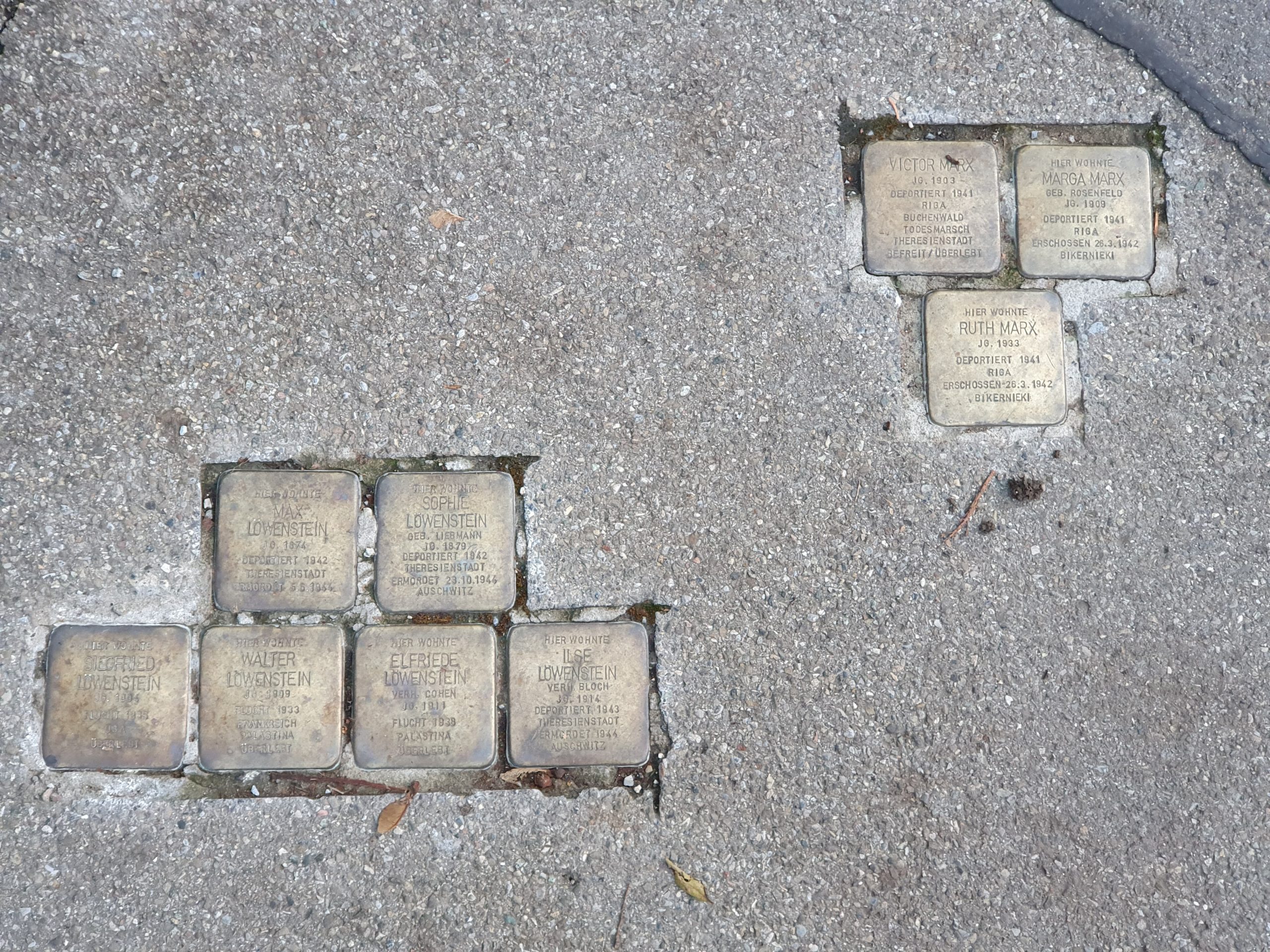 Das Foto zeigt Stolpersteine unter anderem der Familien Marx und Löwenstein in der Hechinger Straße in Tübingen.